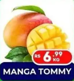 Supermercados Santo Antonio manga tommy oferta