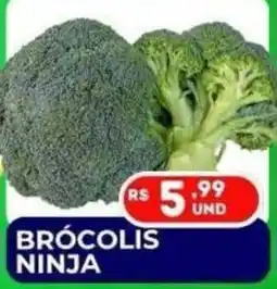 Supermercados Santo Antonio brócolis ninja oferta