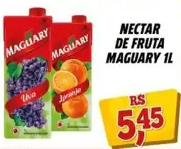 Zattão Supermercado Nectar de fruta maguary oferta