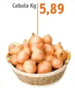 Sonda Cebola Kg oferta