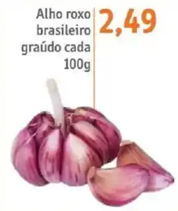 Sonda Alho roxo brasileiro graúdo oferta
