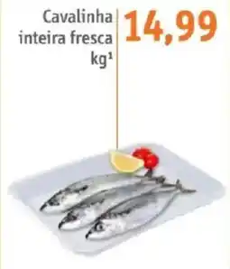Sonda Cavalinha inteira fresca oferta