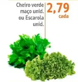 Sonda Cheiro verde maço unid. ou Escarola unid. oferta