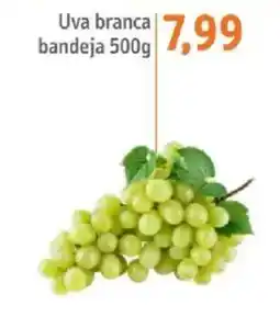 Sonda Uva branca bandeja oferta