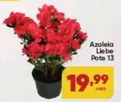 Lopes Supermercados Azaleia Liebe oferta
