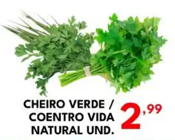 Rede Plus Supermercados cheiro verde / coentro vida natural und. oferta