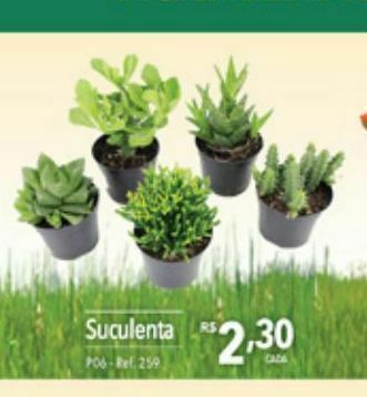 Supermercados Condor Suculenta oferta
