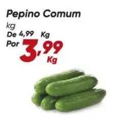 Dia De - pepino comum oferta