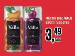 Rede Economia Néctar del vale sabores oferta