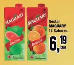Rede Economia Néctar maguary 1l sabores oferta