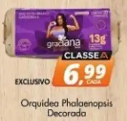 Delta Supermercados Orquídea Phalaenopsis Decorada oferta