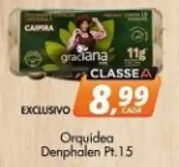 Delta Supermercados Orquídea Denphalen Pt 1.5 oferta