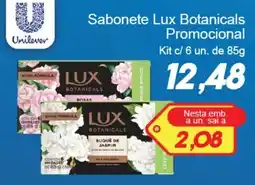 Villefort Atacadista Sabonete lux botanicals oferta