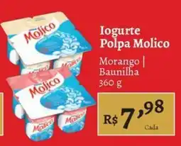 Novo Atacarejo Iogurte polpa molico oferta