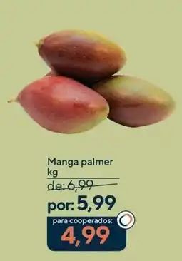 Coop Manga palmer oferta