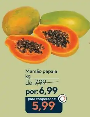 Mamão papaya