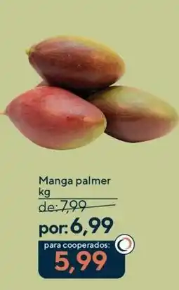 Coop Manga palmer oferta