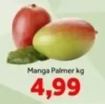 Shibata Supermercados Manga palmer kg oferta