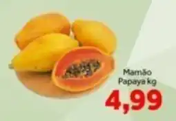 Shibata Supermercados Mamão Papaya kg oferta