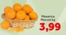 Shibata Supermercados Mexerica Murcot kg oferta