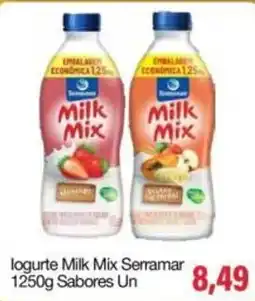 Spani Atacadista Iogurte milk mix serramar oferta