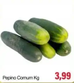 Spani Atacadista Pepino Comum Kg oferta
