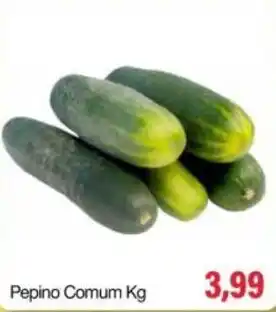 Spani Atacadista Pepino Comum Kg oferta
