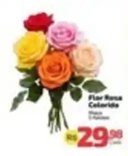 Supermercado Jacomar Flor Rosa Colorida oferta