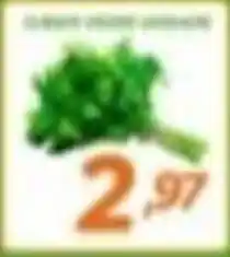 Chimar Supermercados alface verde romana oferta