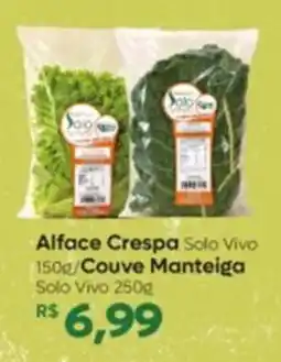 Peg Pese Alface Crespa Solo Vivo oferta