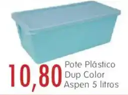Epa Pote Plástico Dup Color Aspen oferta