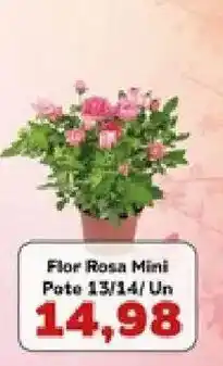 Supermercados Tauste Flor Rosa Mini oferta