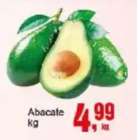 Negreiros Abacate oferta