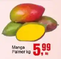 Negreiros Manga palmer kg oferta
