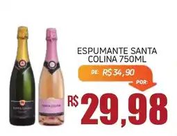 Economart Atacadista Espumante santa colina oferta