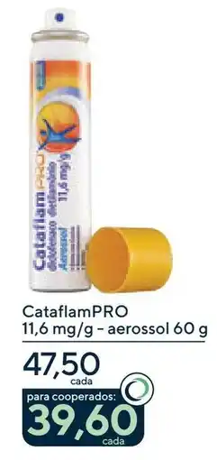 Drogaria Coop Cataflampro oferta