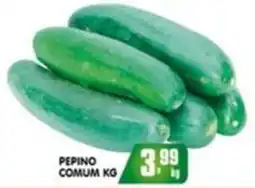 Higa's Supermercado Pepino comum kg oferta
