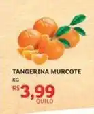 Assaí Atacadista Tangerina murcote oferta