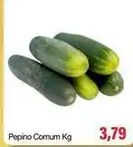 Spani Atacadista Pepino comum oferta
