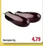 Spani Atacadista Berinjela kg oferta