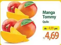 Tommy - manga quilo