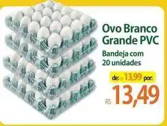 Atacadão Ovo branco grande pvc oferta