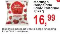 Federzoni Supermercados Morango Congelado Santa Catarina oferta