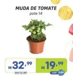 Prezunic Muda de tomate oferta