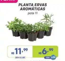Prezunic Planta ervas aromáticas oferta