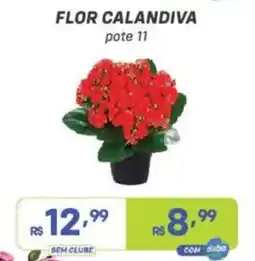 Prezunic Flor calandiva oferta