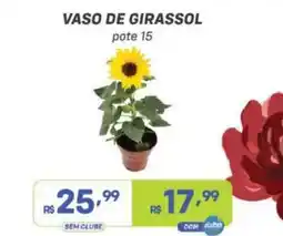 Prezunic Vaso de girassol oferta
