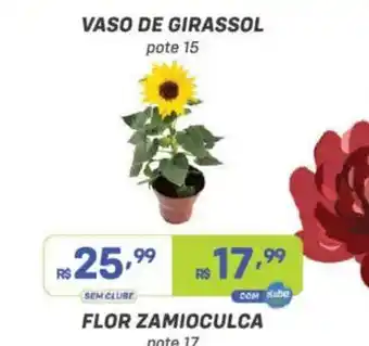 Vaso de girassol
