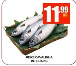 Fort Supermercados Peixe cavalinha inteira kg oferta