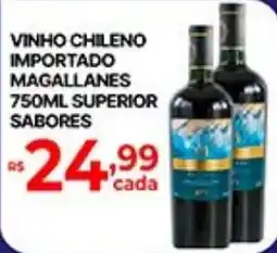 Supermercados Santa Helena vinho chileno importado magallanes oferta
